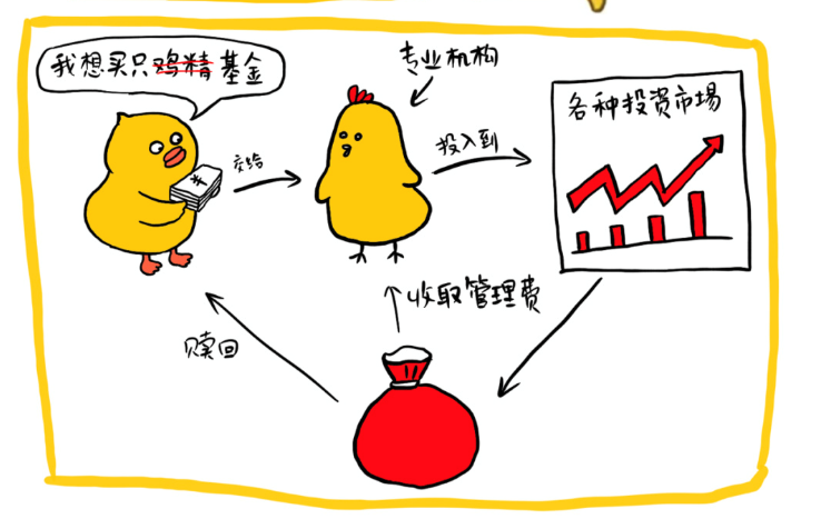 鸡,基金解释,基金解说