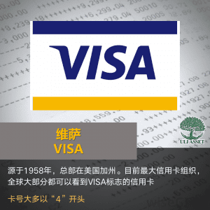 维萨 Visa