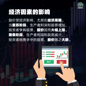 经济因素的影响