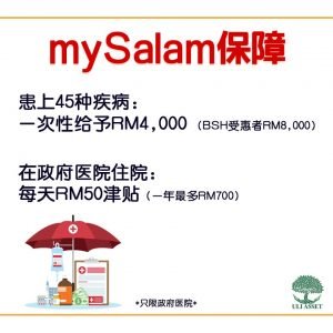 mySalam保障