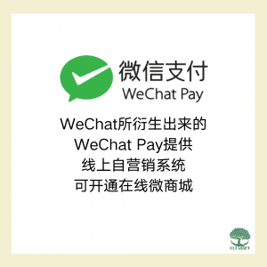 Wechat Pay