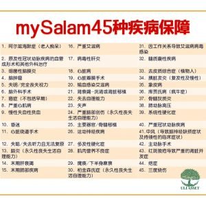 mySalam45种疾病保障