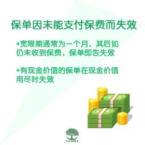 保单因未能支付保费而失败