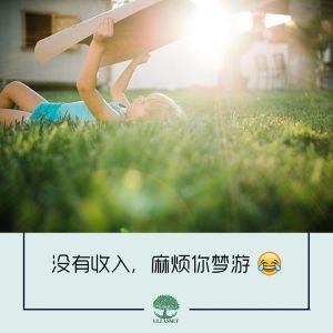 没有收入,麻烦你梦游