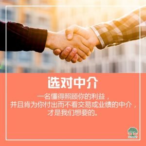 选对中介