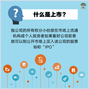 什么是上市