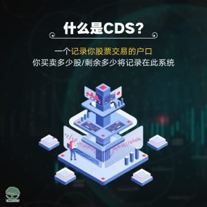 什么是CDS