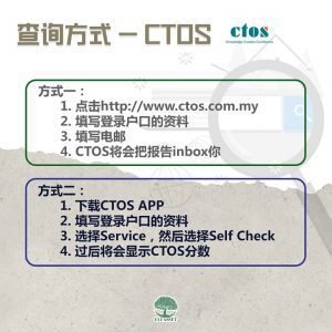 查询方式 CTOS