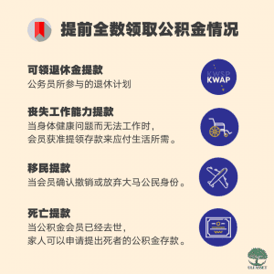 提前全数领取公积金情况