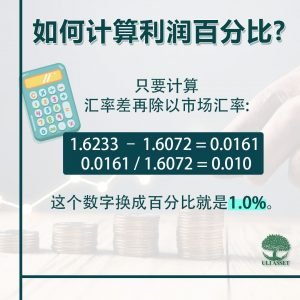 如何计算利润百分比?