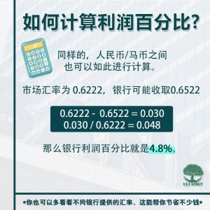 如何计算利润百分比?