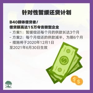 针对性暂缓还贷计划